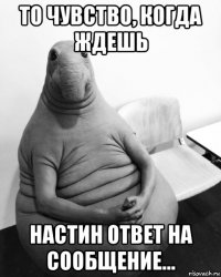 то чувство, когда ждешь настин ответ на сообщение...