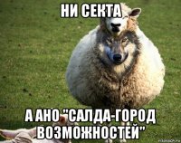 ни секта а ано "салда-город возможностей"