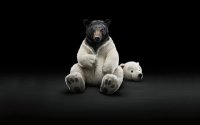 Создать мем Bear in bear