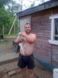 Создать мем Дима