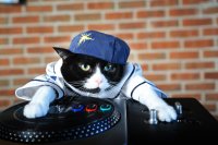 Создать мем DJ Котэ