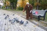 Создать мем ГОЛУБИ