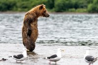 Создать мем Когда увидел цены на шмотки в шопингцентрах