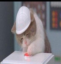 Создать мем Котейка и кнопка