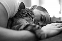 Создать мем Котик не спит