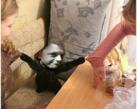 Создать мем Лол