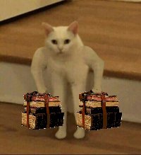 Создать мем Мяу