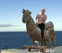 Создать мем Петух из говна