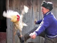 Создать мем Про