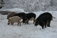 Создать мем Пучок толпы