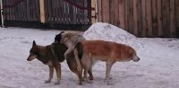 Создать мем Все сложно