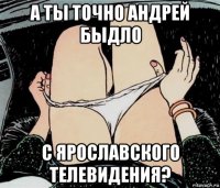 а ты точно андрей быдло с ярославского телевидения?
