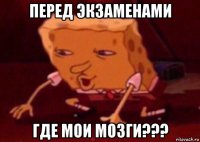 перед экзаменами где мои мозги???