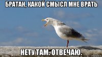 братан, какой смысл мне врать нету там. отвечаю.