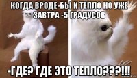 когда вроде-бы и тепло но уже завтра -5 градусов -где? где это тепло???!!!