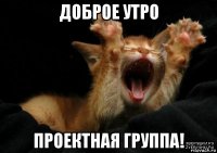 доброе утро проектная группа!