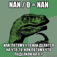 nan / 0 = nan nan, потому что nan делится на что-то, или потому что поделили на 0 ?