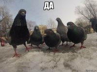 да 