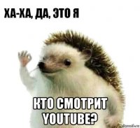  кто смотрит youtube?