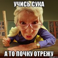 учись сука а то почку отрежу