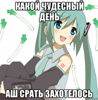 какой чудесный день аш срать захотелось