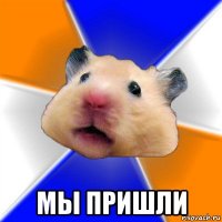  мы пришли