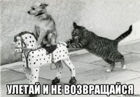  улетай и не возвращайся