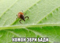  комон эври бади