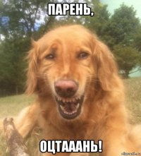 парень, оцтааань!