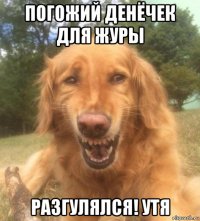 погожий денёчек для журы разгулялся! утя