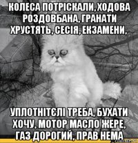 колеса потріскали, ходова роздовбана, гранати хрустять, сесія, екзамени, уплотнітєлі треба, бухати хочу, мотор масло жере, газ дорогий, прав нема