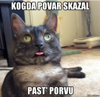 kogda povar skazal past' porvu