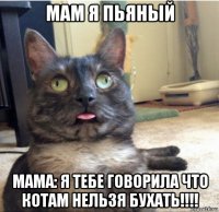 мам я пьяный мама: я тебе говорила что котам нельзя бухать!!!!