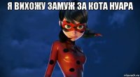 я вихожу замуж за кота нуара 