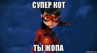 супер кот ты жопа