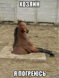 хозяин я погреюсь