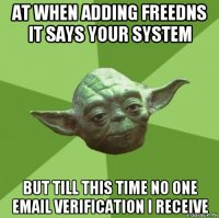 at when adding freedns it says your system but till this time no one email verification i receive