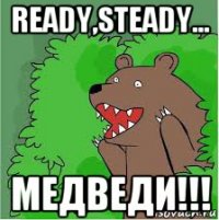 ready,steady... медведи!!!