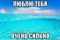 люблю тебя очень сильно