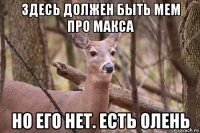 здесь должен быть мем про макса но его нет. есть олень