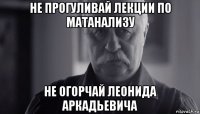 не прогуливай лекции по матанализу не огорчай леонида аркадьевича