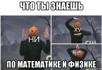 что ты знаешь по математике и физике