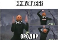 ни ху я тебе ородор