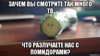 зачем вы смотрите так много тв что разлучаете нас с помидорами?