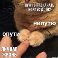 Нужно прокачать корпус до м2 Личная жизнь