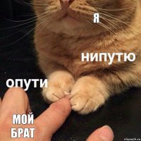 я мой брат