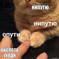 Нипутю Кислота уходи