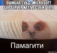 ошибка субд: microsoft sql server native client 10.0 