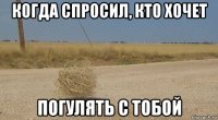 когда спросил, кто хочет погулять с тобой