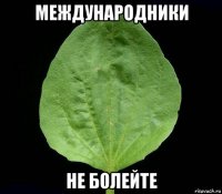 международники не болейте